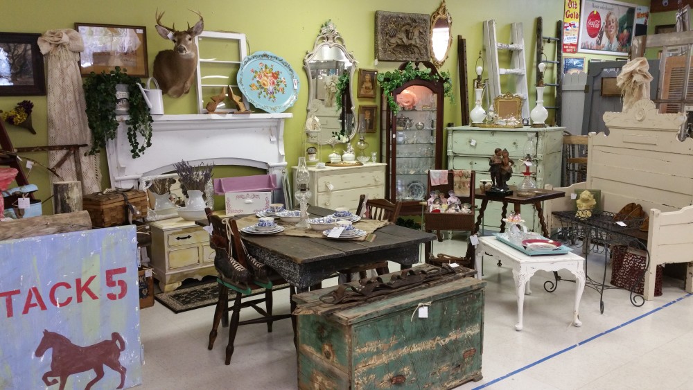 Shabby-chic furniture room with painted dressers, mirrors, a taxidermy mount and Tack 5 horse sign at Ocala Antique Mall